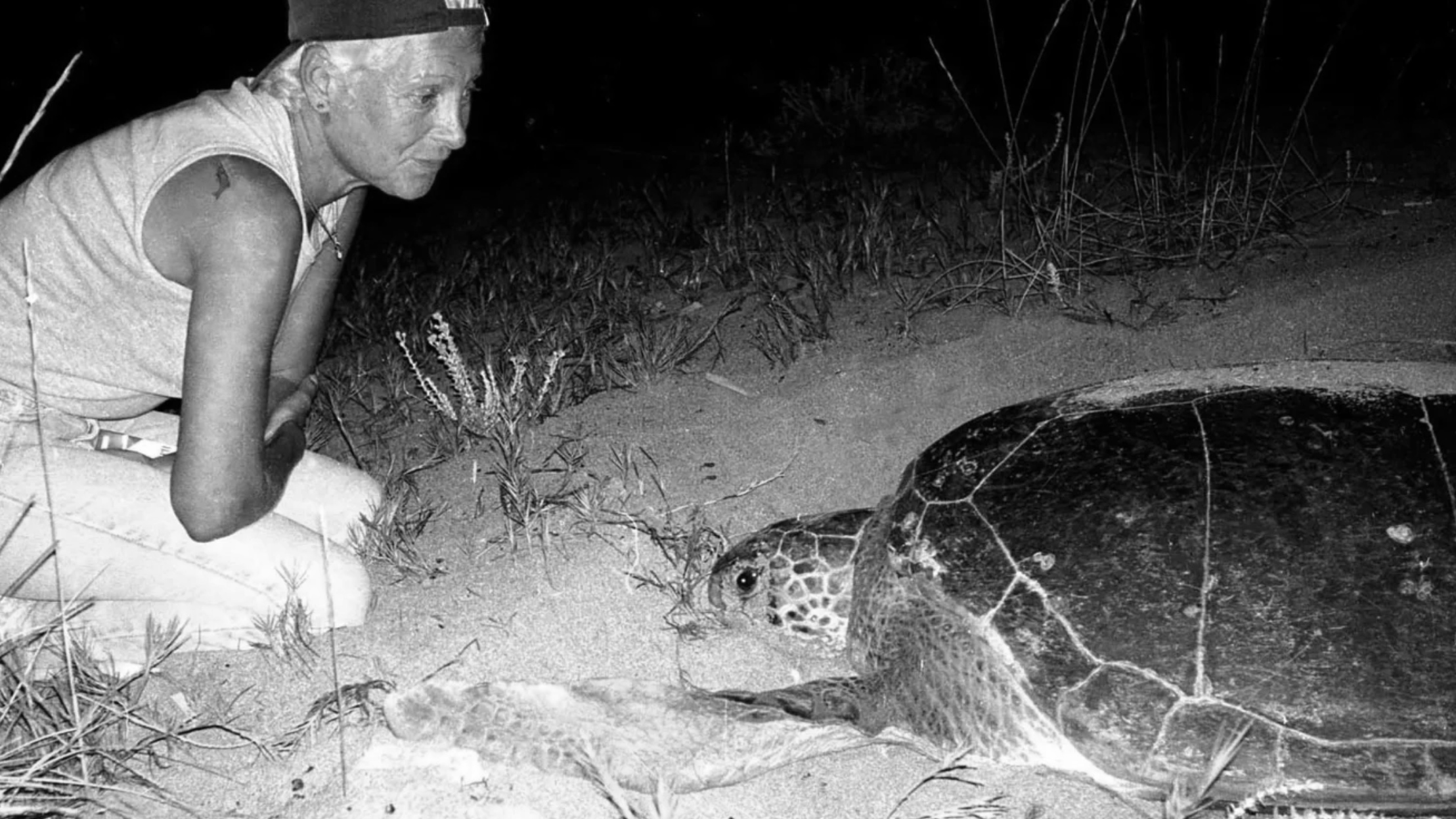 Mona Khalil, who left safety in Europe to protect sea turtles in Lebanon, was killed by an Israeli airstrike