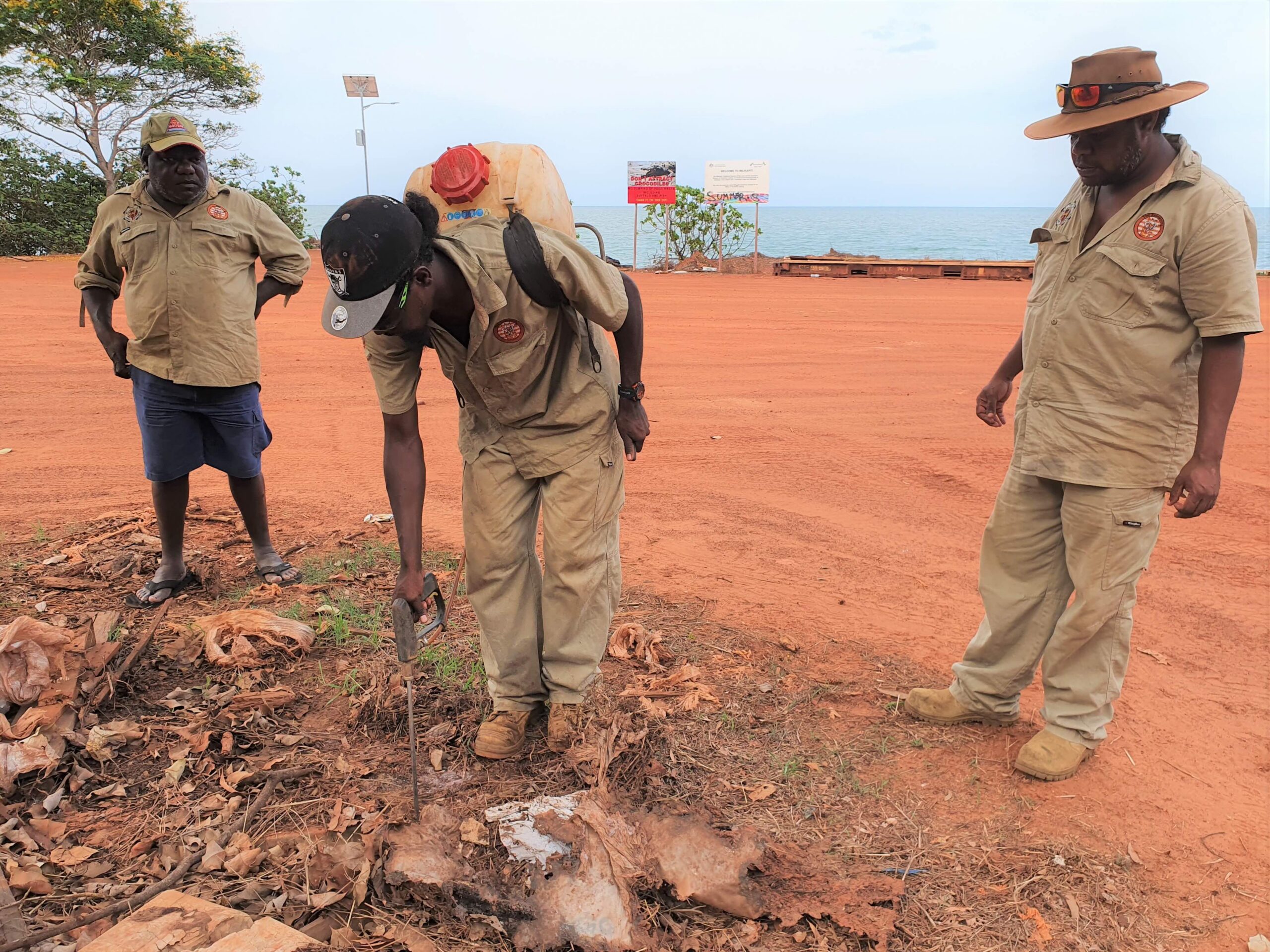 To mitigate risk of the insecticide to the wider ecosystem in the case of the Tiwis, baits were concentrated in certain areas and rangers closely monitored sites. Image courtesy of Tiwi Resources.