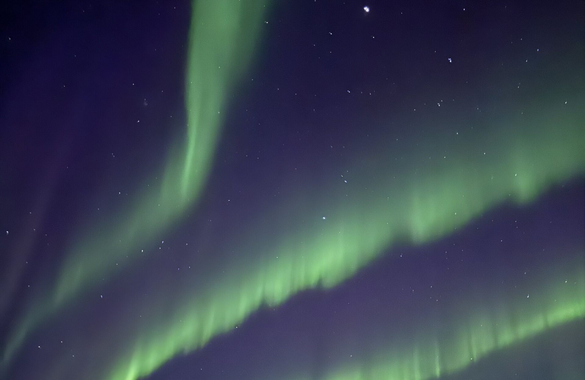 Northern lights view from camp. Image courtesy of the North Slave Métis Alliance.
