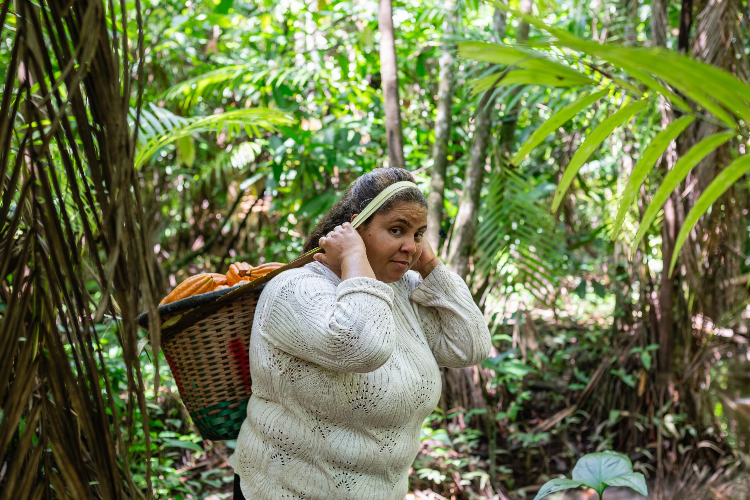 Pará’s wild cocoa has been marketed as a “superfood,” due to its high antioxidant and nutrient content, but Elene’s cocoa roots run deeper than the current health food craze. Image by Cícero Pedrosa Neto.