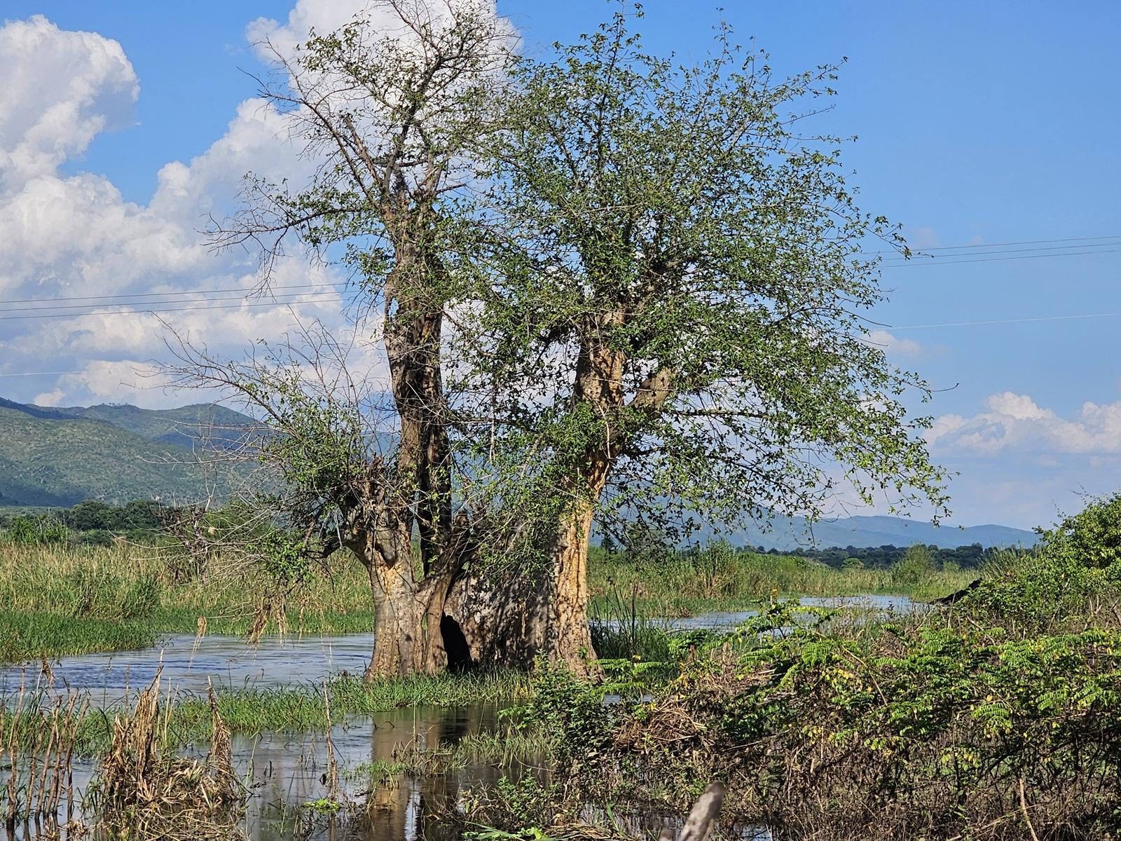 Three years after Cyclone Freddy, farms remain under water&hellip;