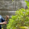 Researcher Ricardo Marques visiting a forest seedling nursery in the Amazon. Image courtesy of Hylaea.