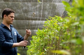 Researcher Ricardo Marques visiting a forest seedling nursery in the Amazon. Image courtesy of Hylaea.