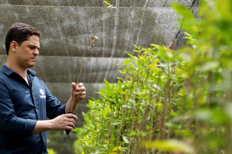 Researcher Ricardo Marques visiting a forest seedling nursery in the Amazon. Image courtesy of Hylaea.