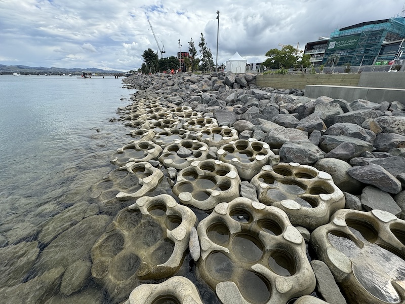 An installation of “living boulders” in New Zealand.