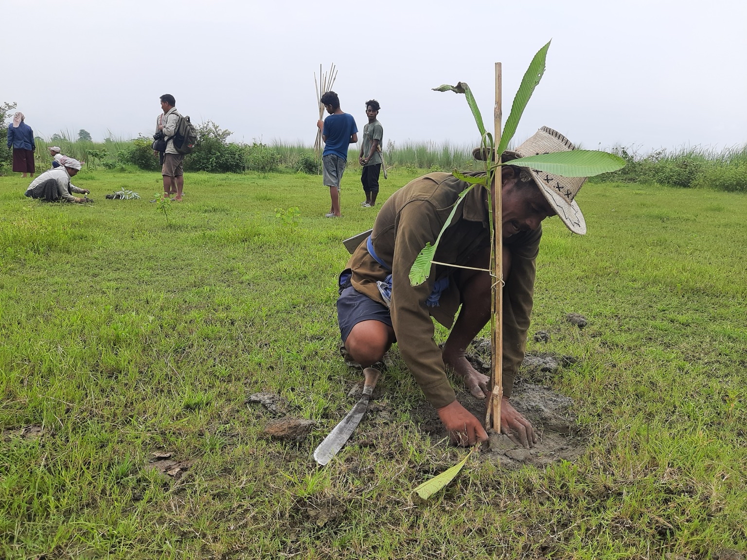 Sapling planting in the Dering-Dibru Saikhowa Elephant Corridor in India. Image courtesy of Shiekh Marifatul Haq/Wildlife Trust of India.