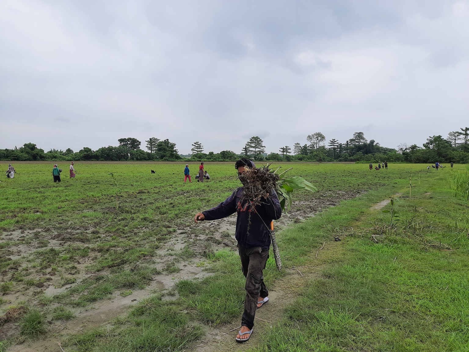 The standards emphasize the importance of local and Indigenous knowledge. Image courtesy of Shiekh Marifatul Haq/Wildlife Trust of India.