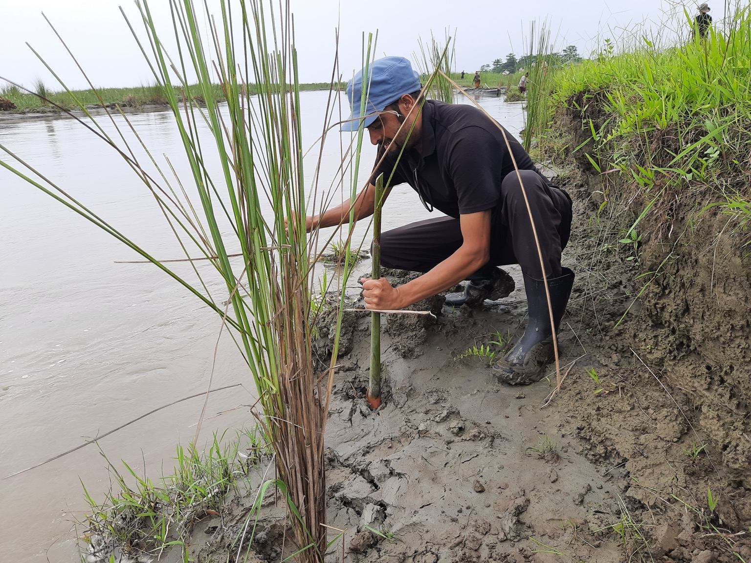 Community members were involved in all phases of the restoration project at the Dering-Dibru Saikhowa Elephant Corridor in India. Image courtesy of Shiekh Marifatul Haq/Wildlife Trust of India.