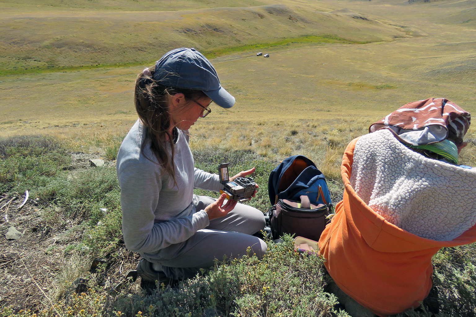 The Manul Working Group is monitoring Pallas’s cats in Kazakhstan and Mongolia, in areas that are considered to be strongholds for the species. Image courtesy of the Manul Working Group
