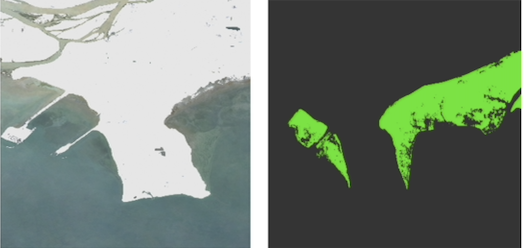 Scientists mapped seagrass ecosystems using satellite data and AI technology. Pictured above is a satellite image from a coast off of Richmond, Canada, along with the seagrass ecosystems highlighted in green to the right.