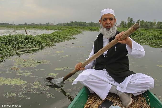 Manzoor Ahmad Wangnoo rows a shikara across the Khushalsar-Gilsar wetland system in Srinagar
