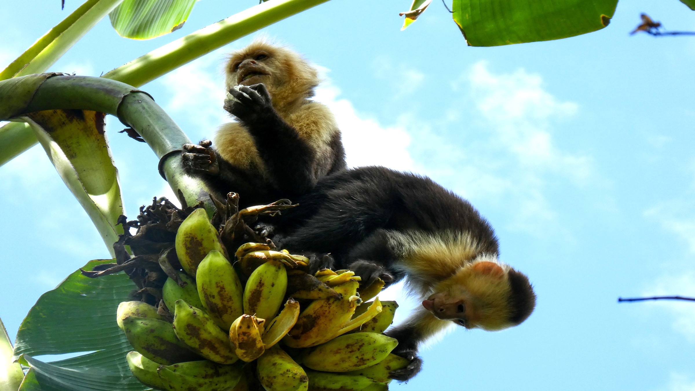 How Costa Rica’s extreme climate changes the social&hellip;