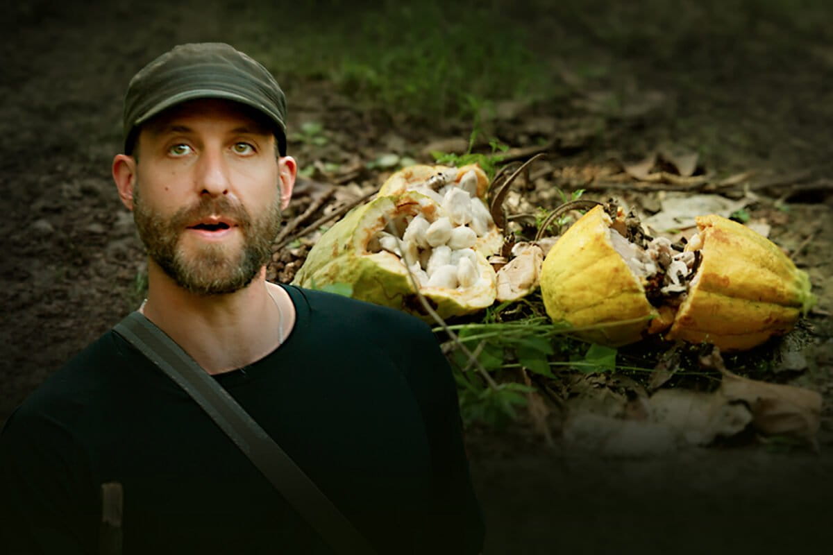 A collage featuring Ashoka Mukpo, a Mongabay reporter, and a cocoa bean