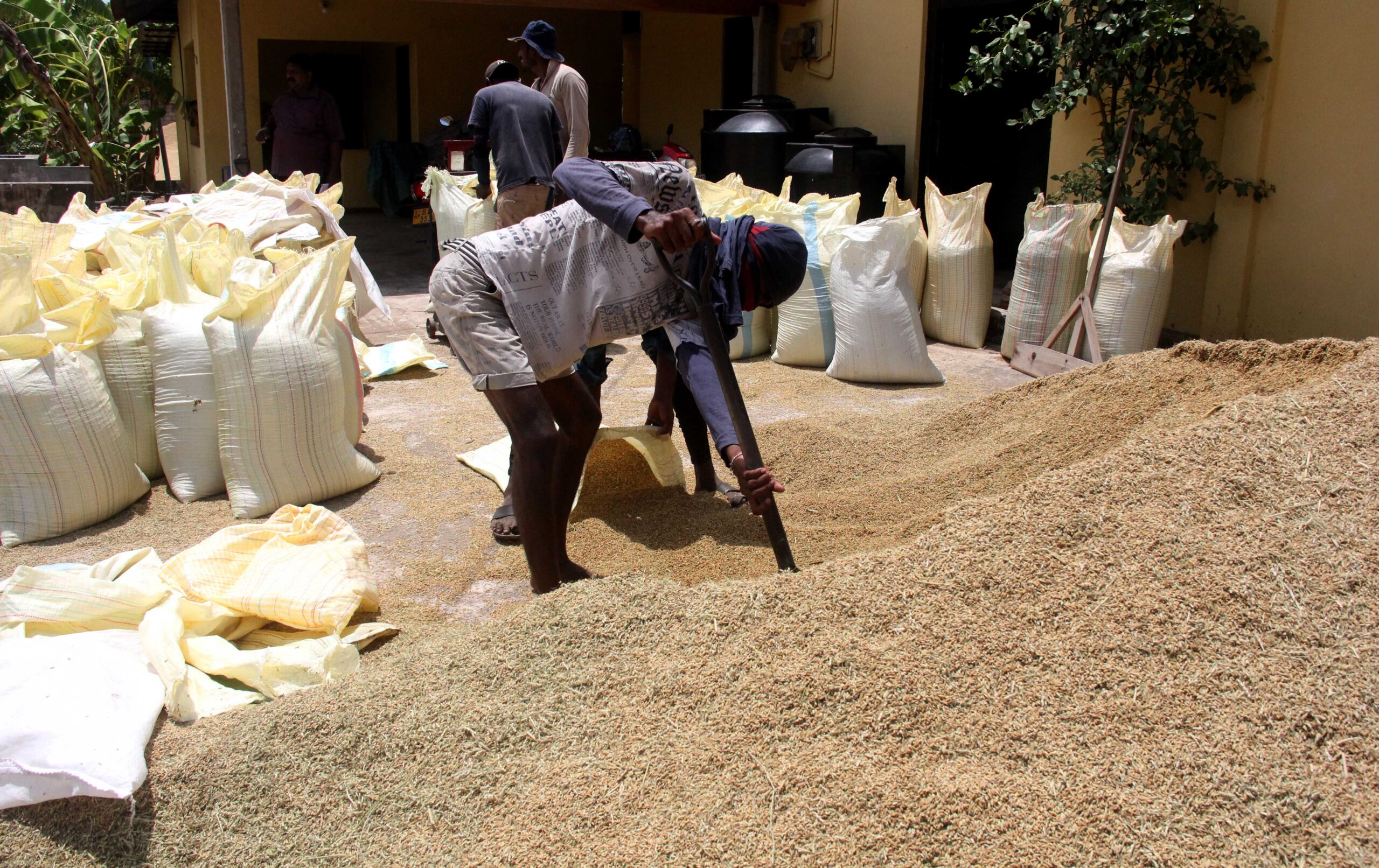 Sri Lanka prepares for impending El Niño with traditional&hellip;