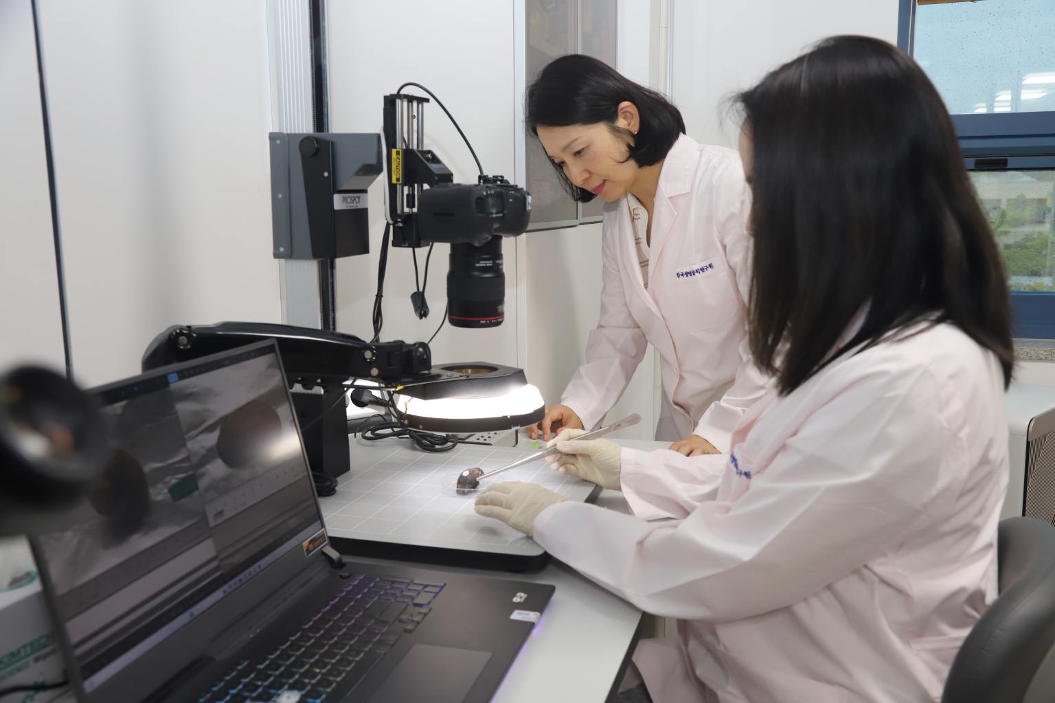 Se-Joo Kim, left, examines a vent specimen with colleague Won-Kyung Lee, right, at the Korea Research Institute of Bioscience and Biotechnology.