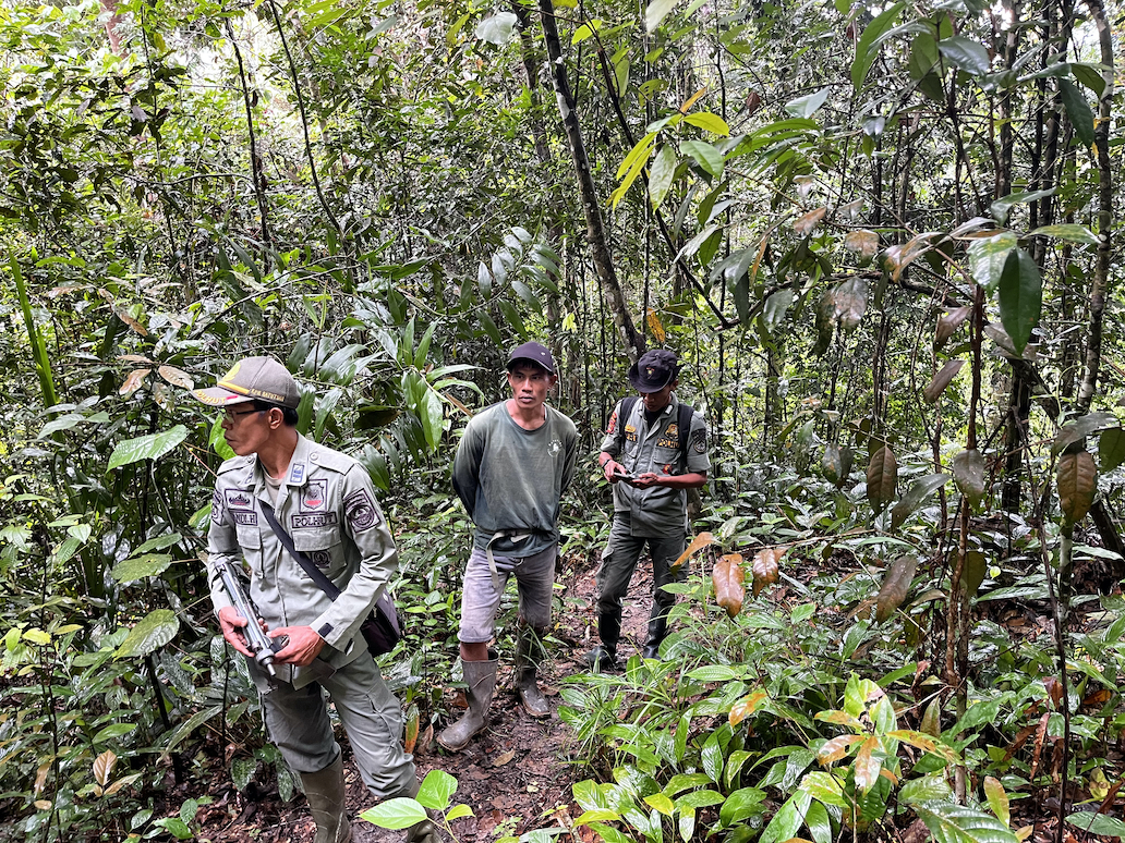 On the front lines of conservation in Sumatra: Rangers&hellip;