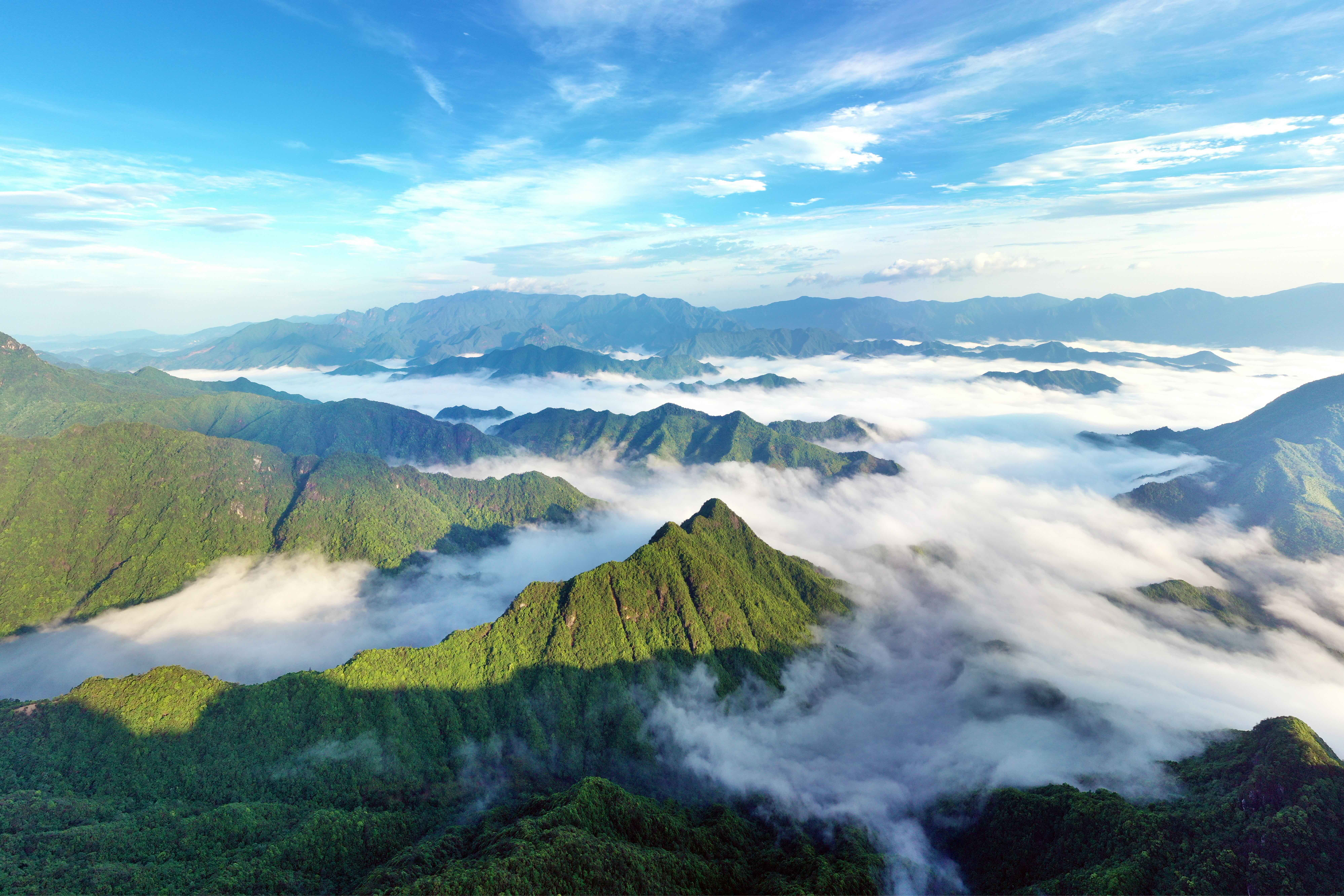 For more than a millennium, a mix of Buddhist, Daoist and Confucian traditions guided protection of plants and wildlife in this lush reserve. Image courtesy of UNESCO.