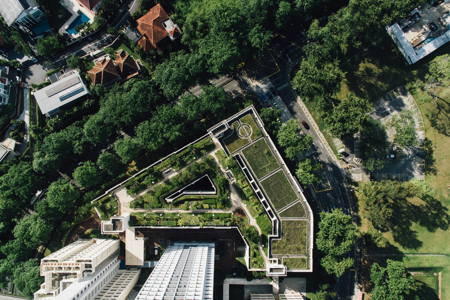 Green rooftops in Singapore. This sort of UHI mitigation can often only be accomplished by those wealthy enough to afford it.
