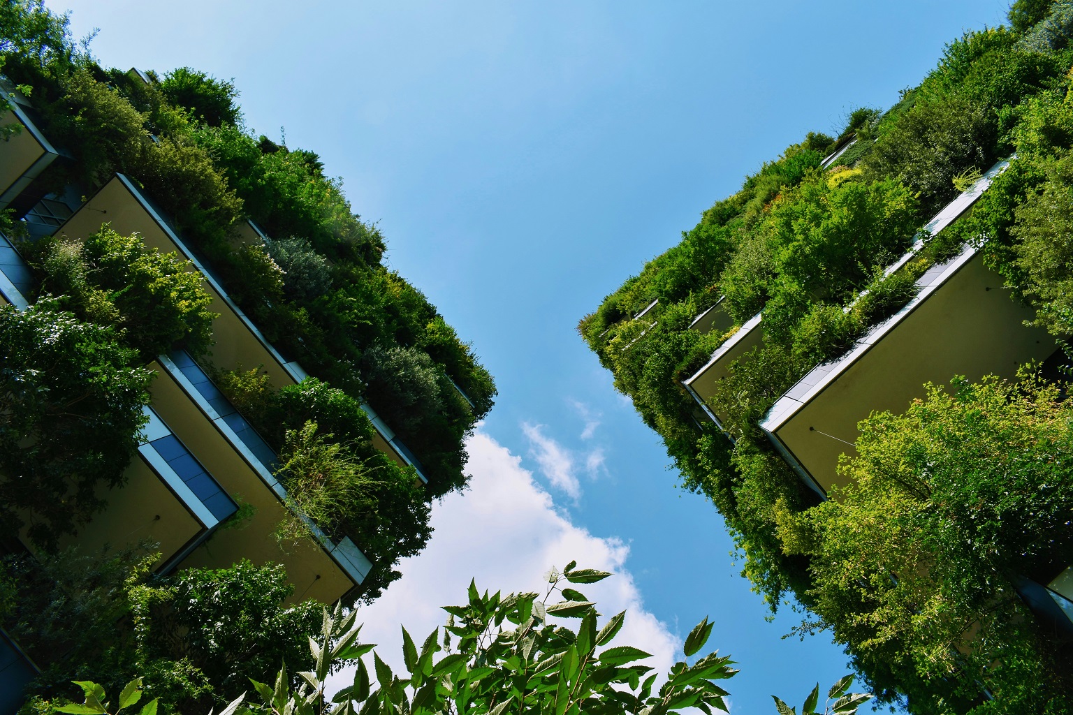 An urban green wall in Milan, Italy. While both visually stunning and an example of cooling vegetative infrastructure, such innovations can be economically out of reach for many crowded tropical cities, especially in poor neighborhoods which are most in need of cooling.
