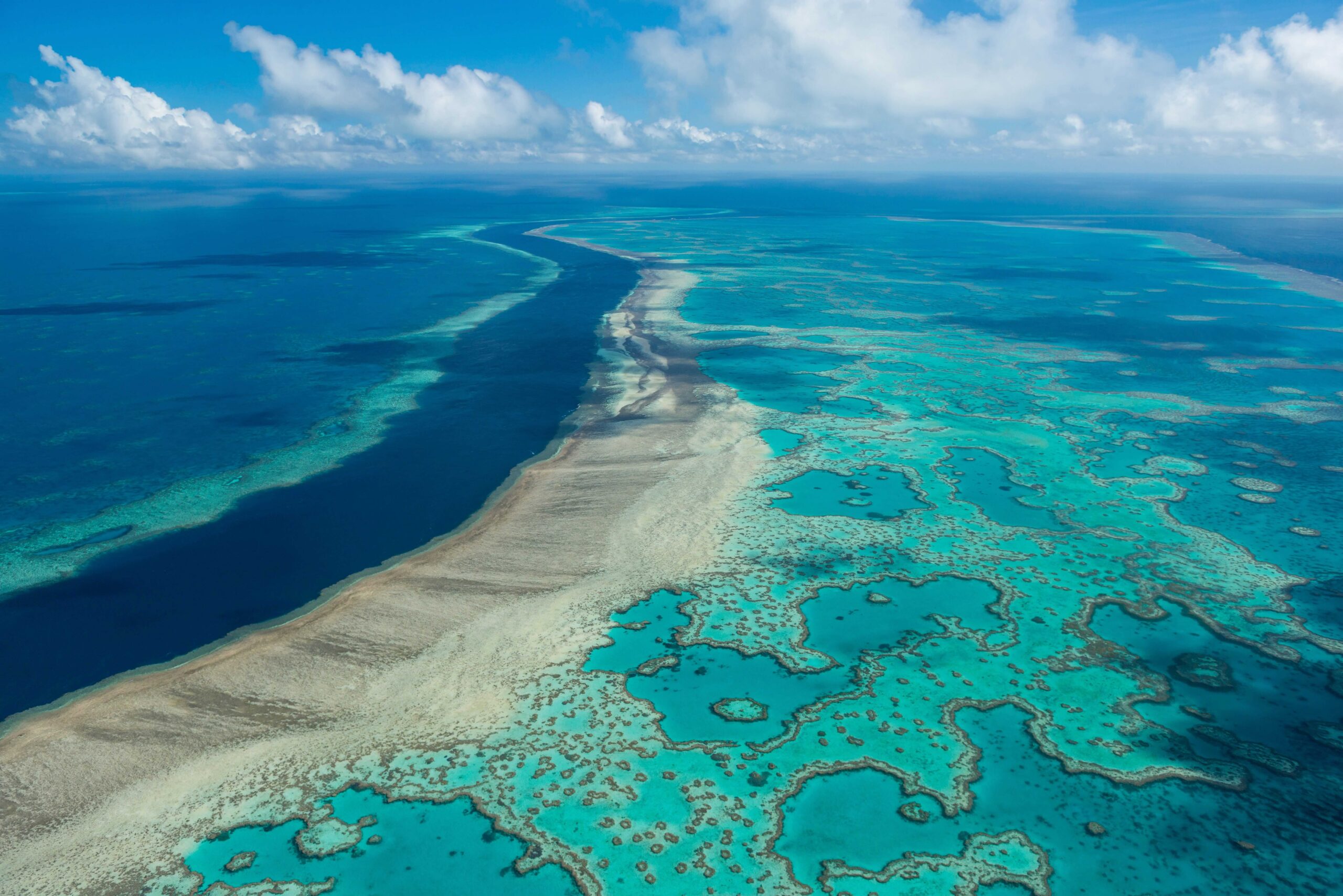 Aerial view of Hardy Reef; in the Whitsunday region; Central Section of the Whitsunday region, Central Section of the Great Barrier Reef Marine Park. Image by ©Commonwealth of Australia (Reef Authority), photographer Jumbo Aerial Photography. CC BY 4.0.