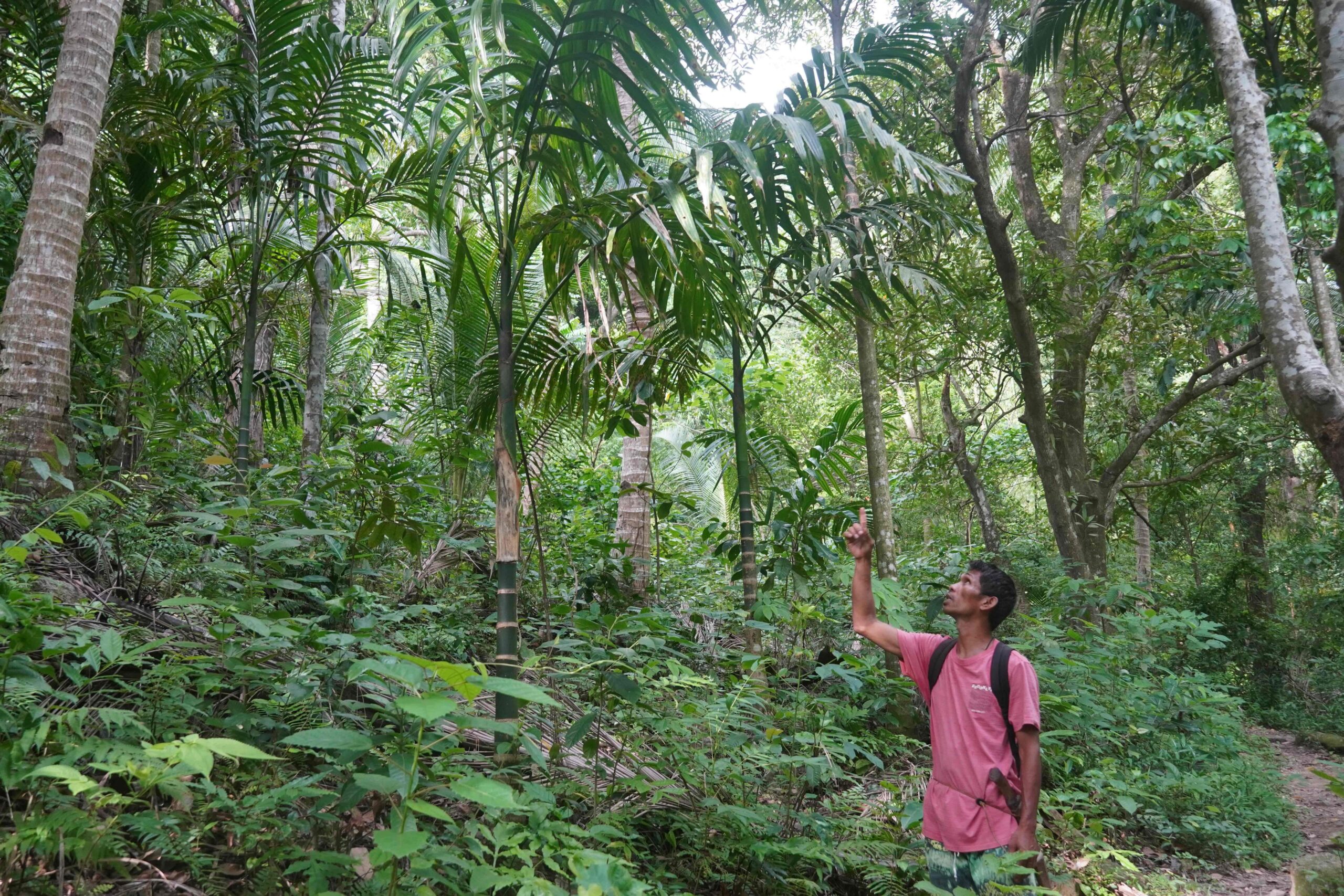 Lenito Pampilo, an Iraya community leader and ecotrail guide, has spent much of his life in the mountains located in the Iraya Mangyan ancestral lands. Image by Keith Anthony Fabro.