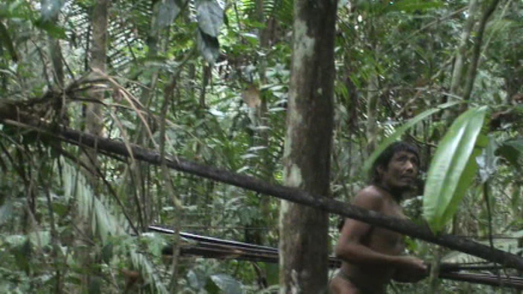 Still image of a Kawahiva individual taken by federal agents in August 2013. Image courtesy of FUNAI. 
