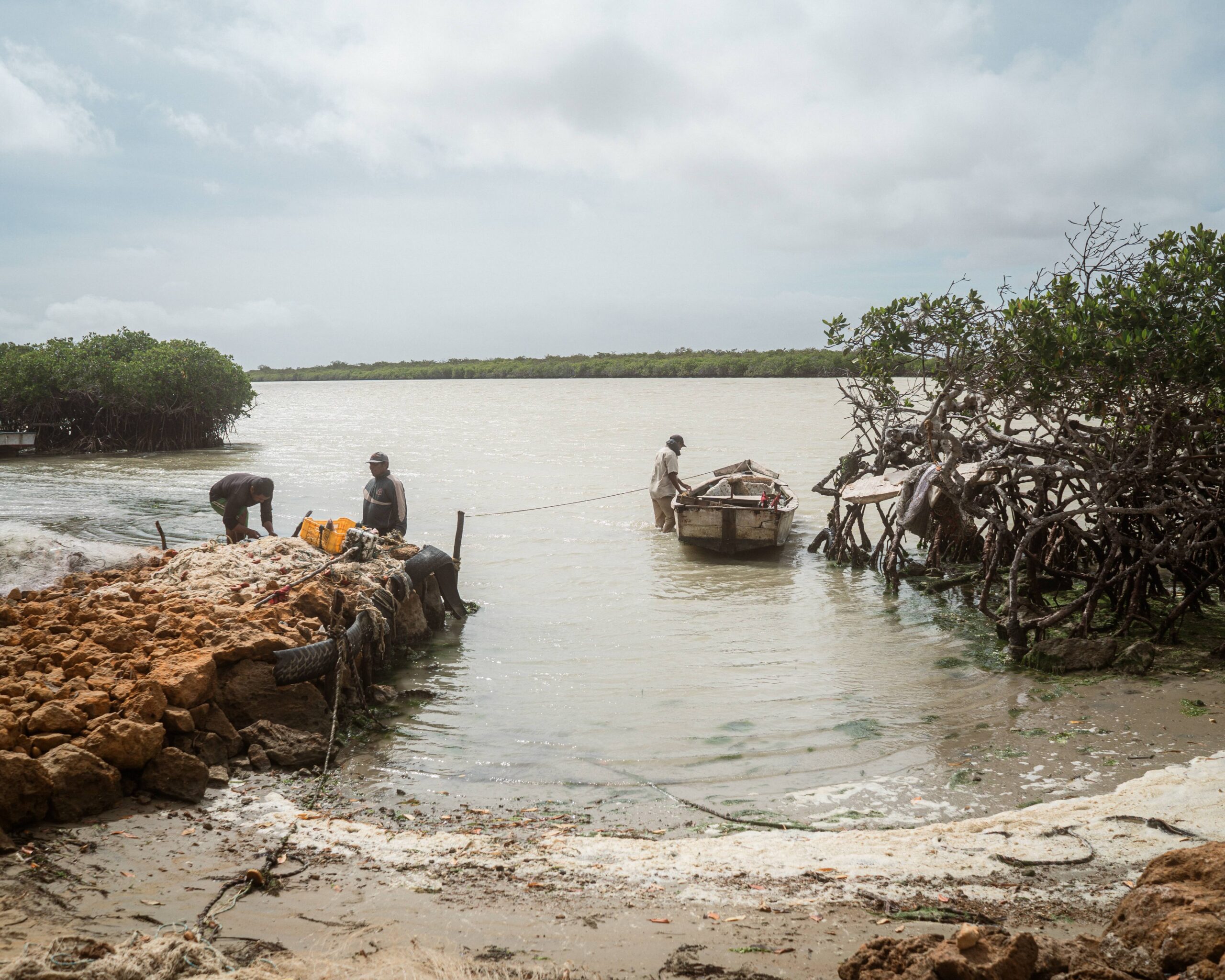 Amid the mangroves, Wayuu fishers unload the day’s catch onto the beach. Image by Euan Wallace.