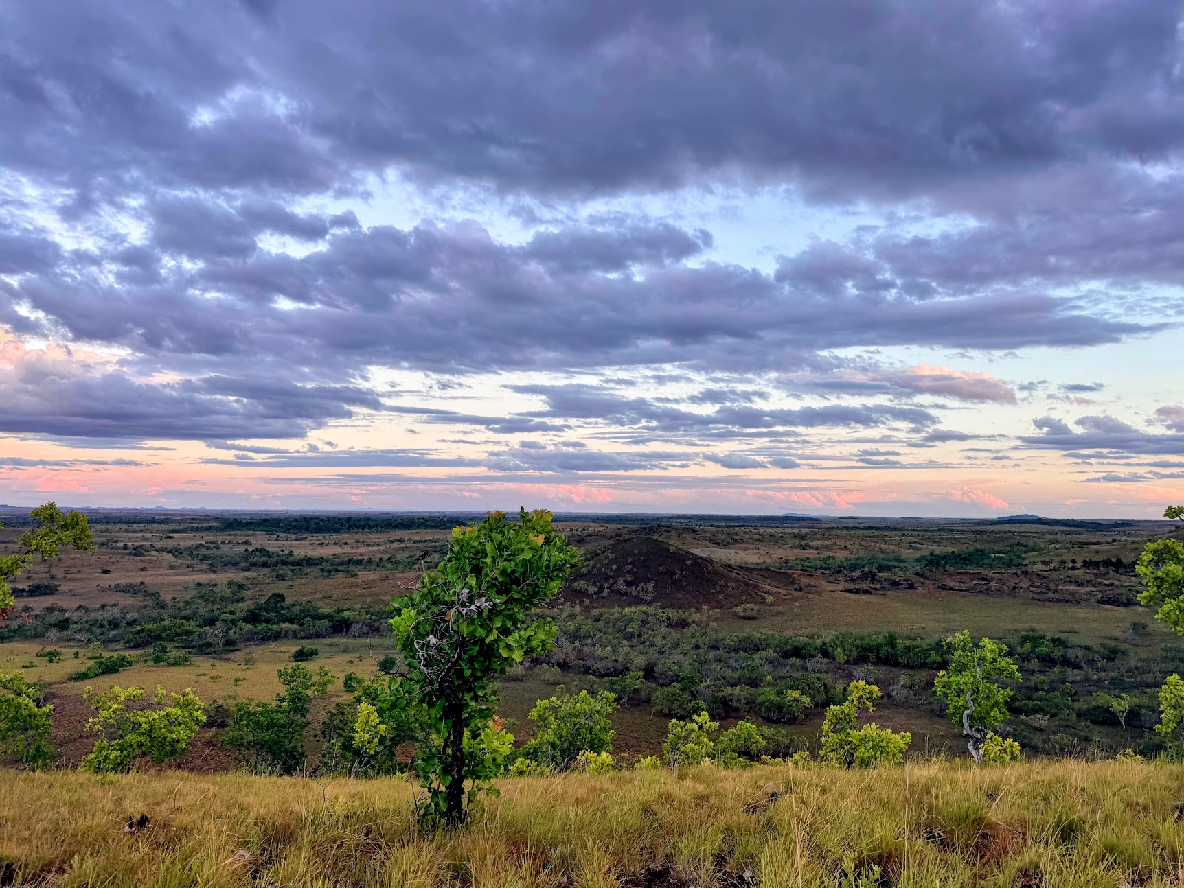 Landscape of South Rupununi.