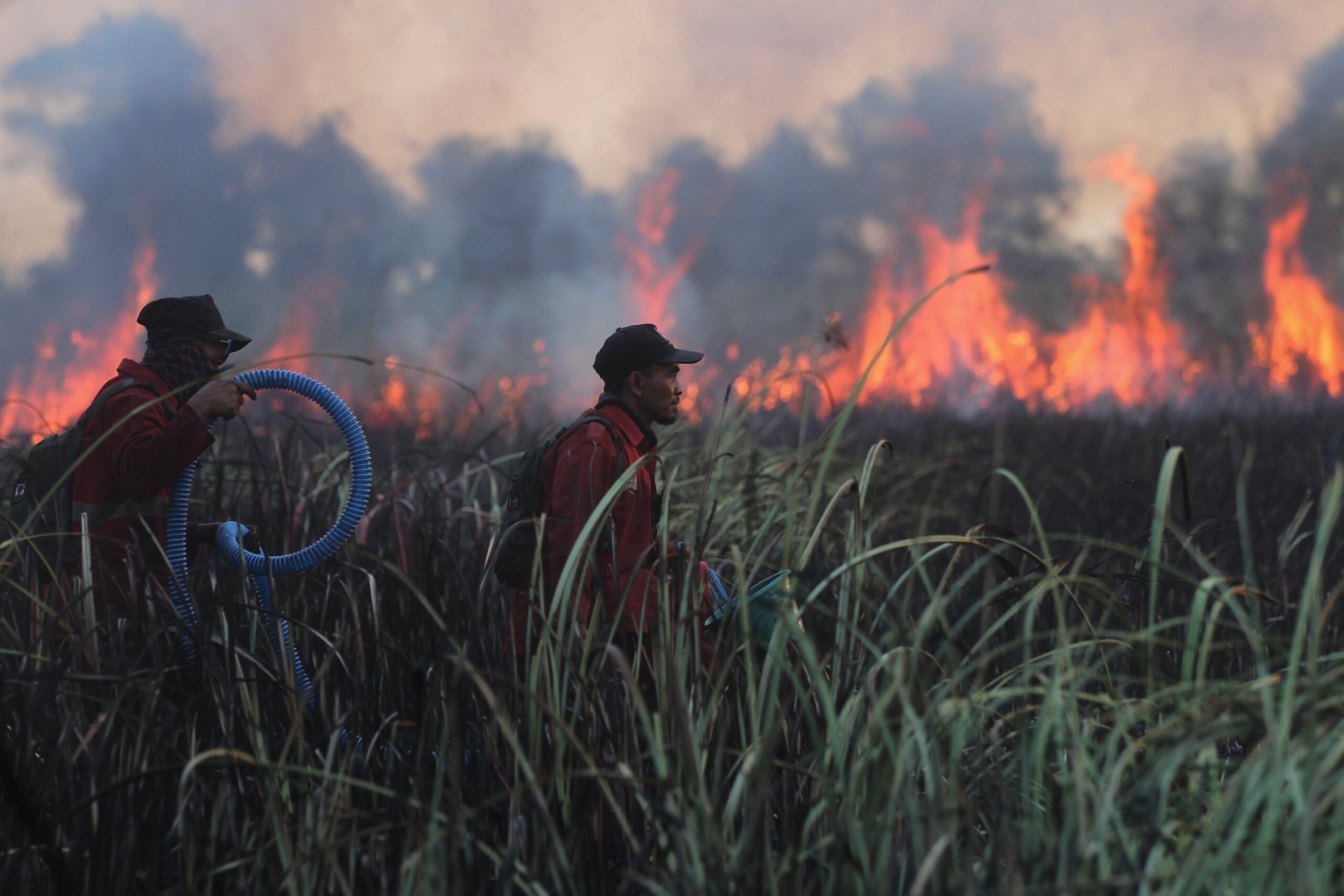 Indonesia charges 72 over fires as haze chokes Borneo and…