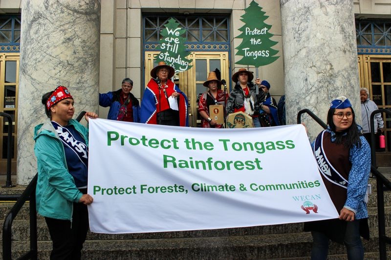 photo of US proposes rescinding Roadless Rule protections for national forests image