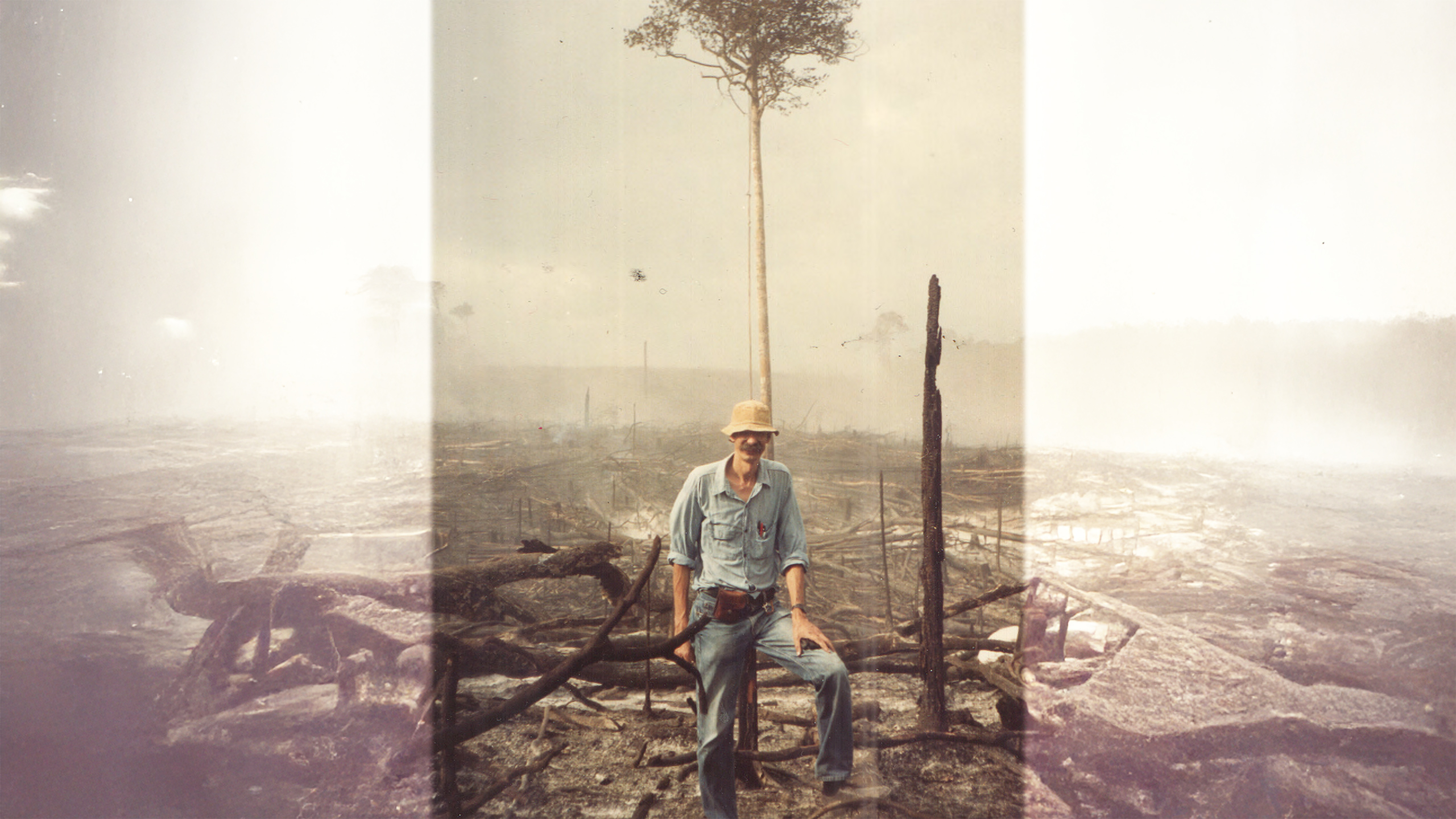 Thumbnail for For 50 years, Philip Fearnside has calculated the costs of losing the Amazon