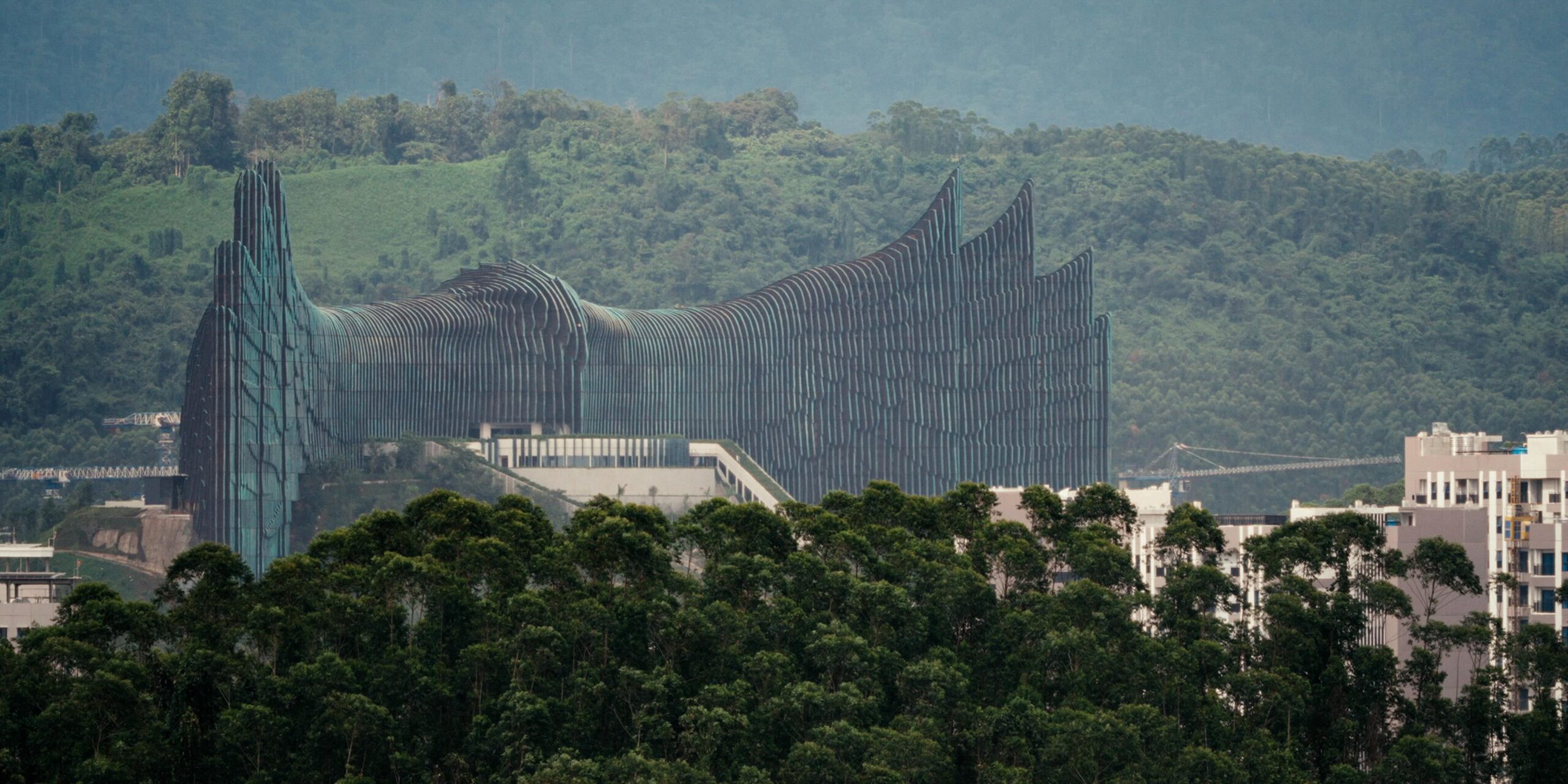 Recording a rainforest before Indonesia’s new capital changes it