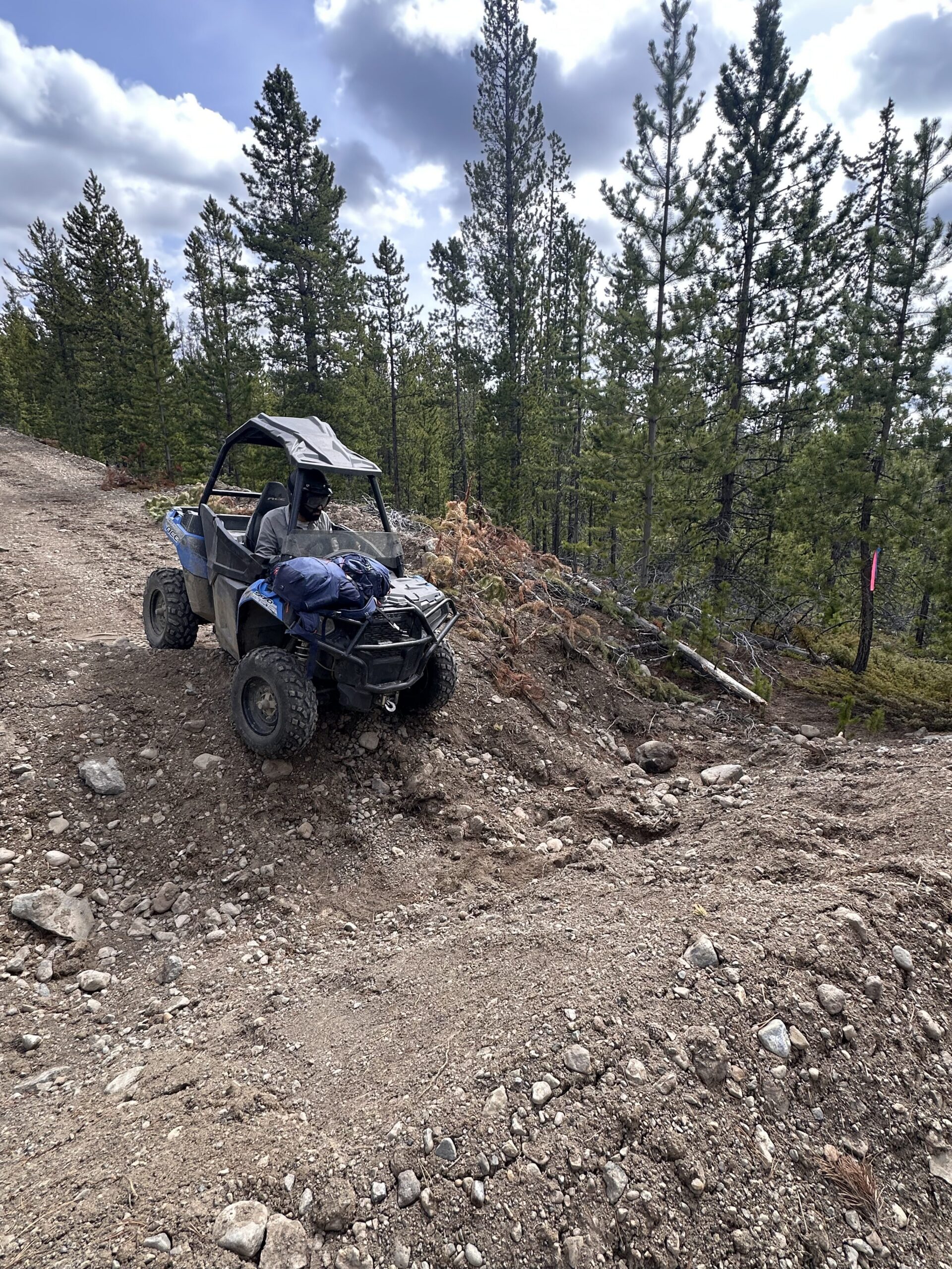 While some logging roads have been deactivated in the province, they are still used by all-terrain vehicles for recreation.