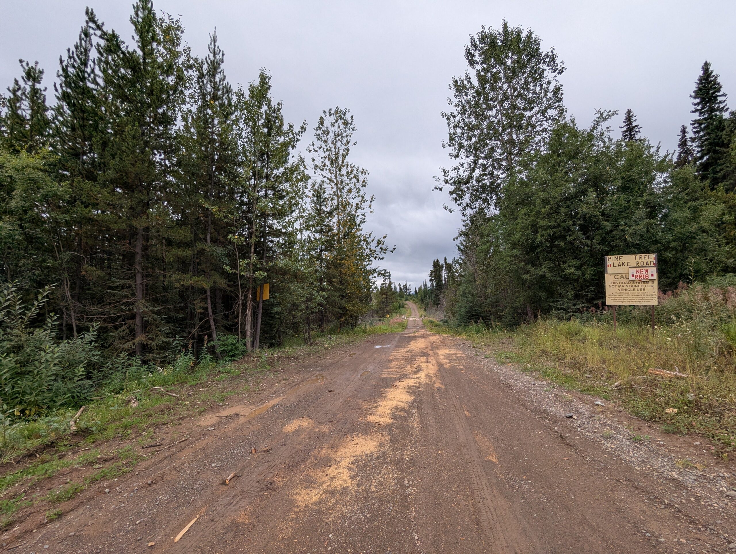 An active logging road in British Columbia. Scientists say such roads bring humans, predators and other prey into caribou habitats.