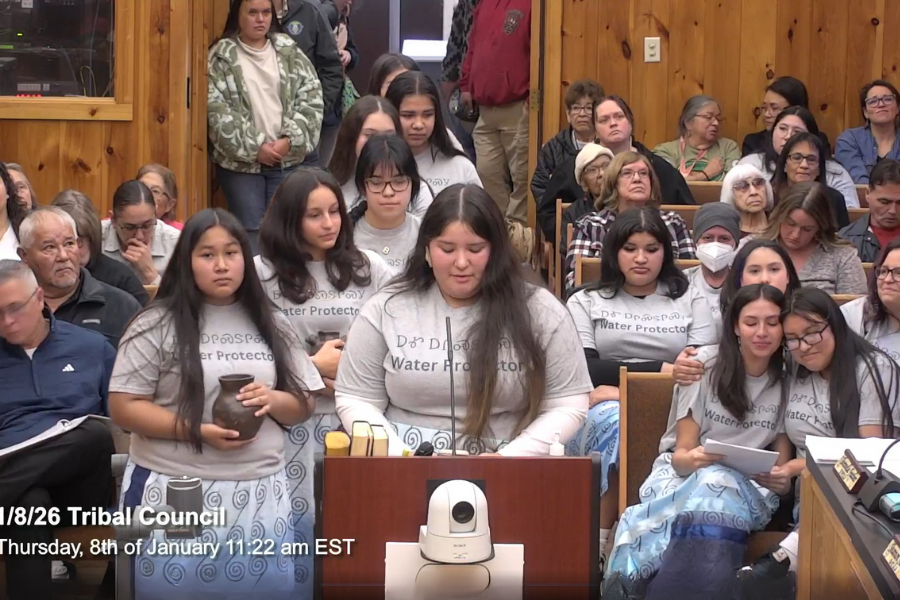 Zailiana Blythe, from NAIWA Daughters, speaks to the Council at the podium.