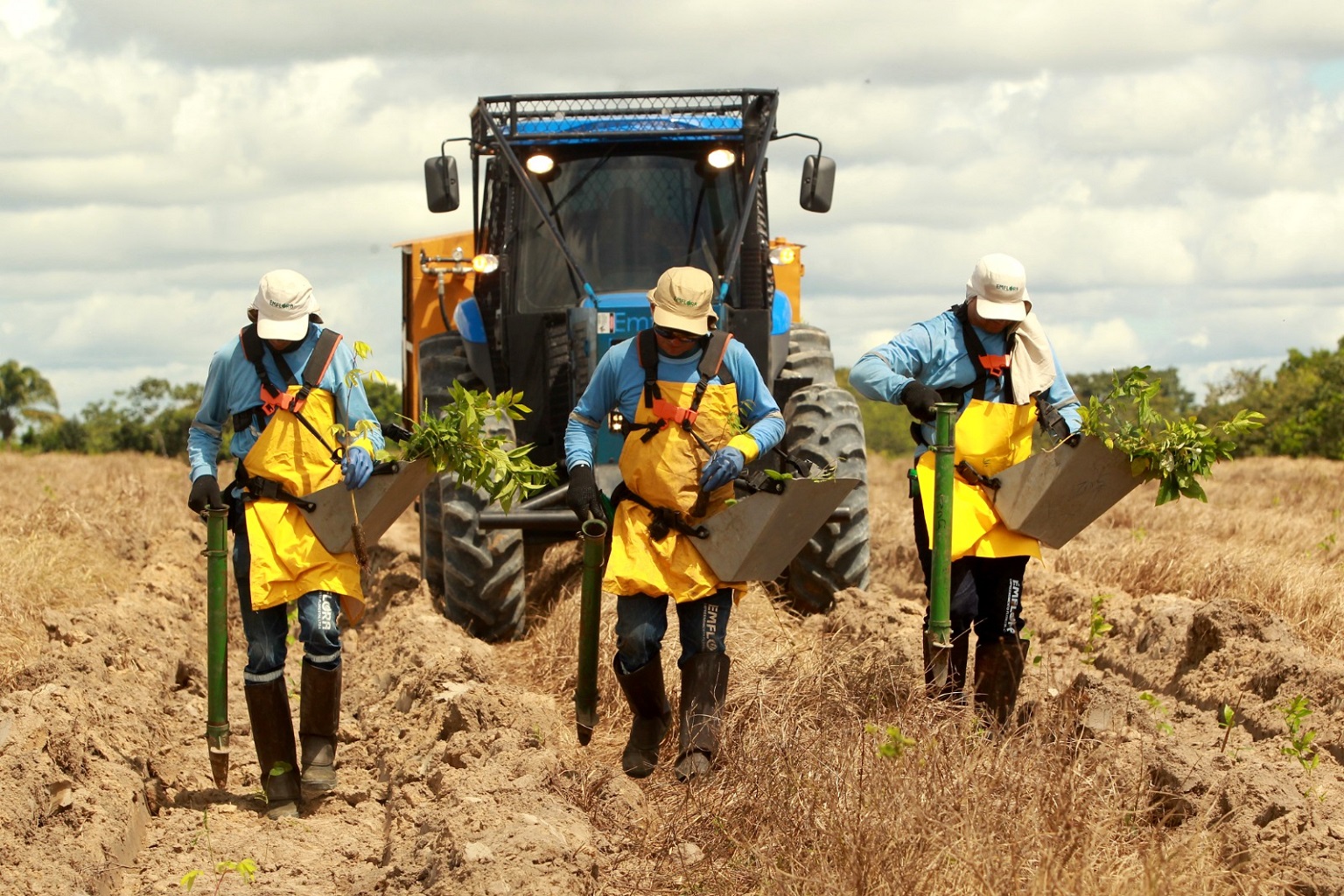 Companies like Mombak invest in gear and technology to accelerate forest restoration and carbon sequestration in the Amazon.
