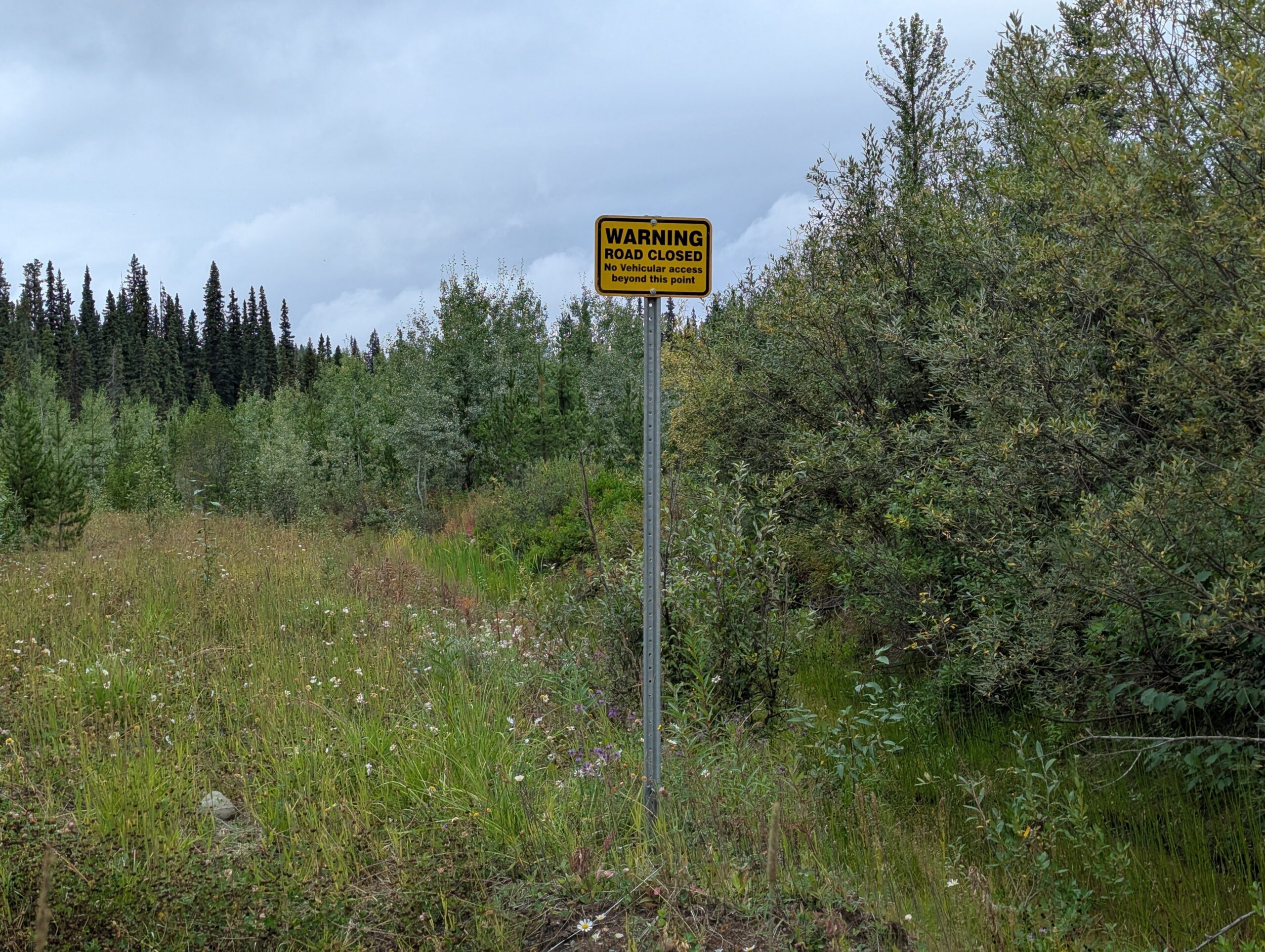Some forestry roads, such as this, are deactivated. 