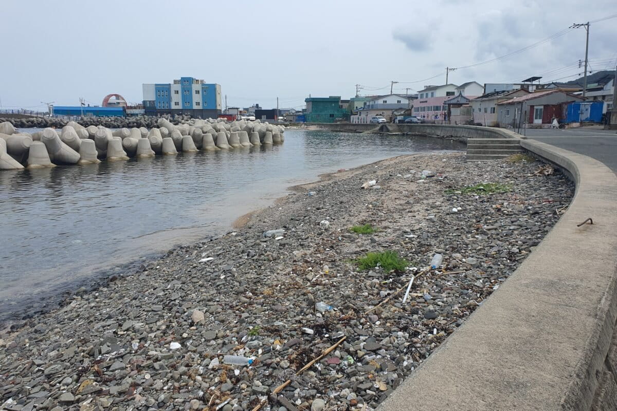 South Korea's ‘sea women' seek justice after marine habitat devastated by harbor work