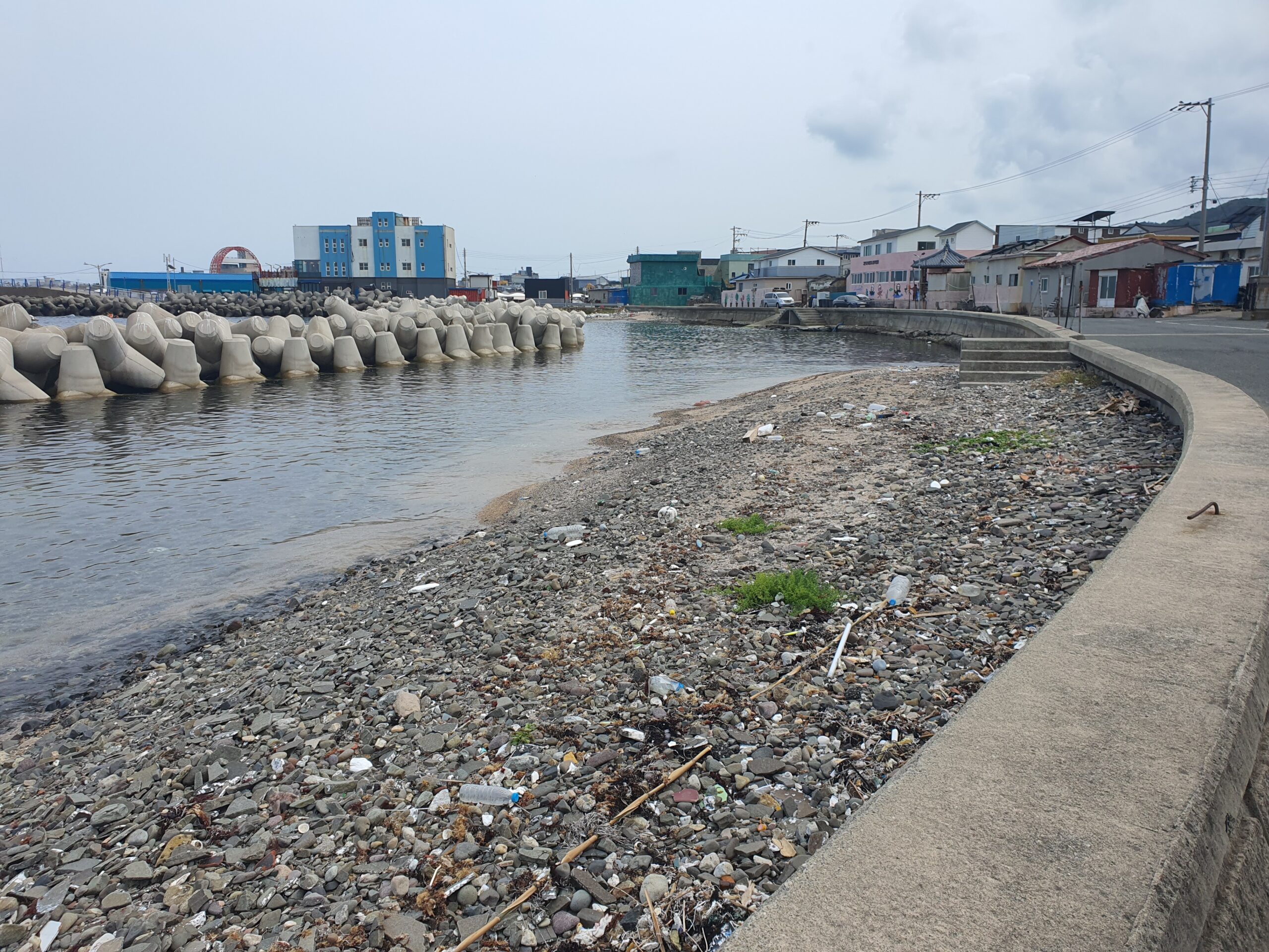 South Korea’s ‘sea women’ seek justice after marine habitat devastated by harbor work
