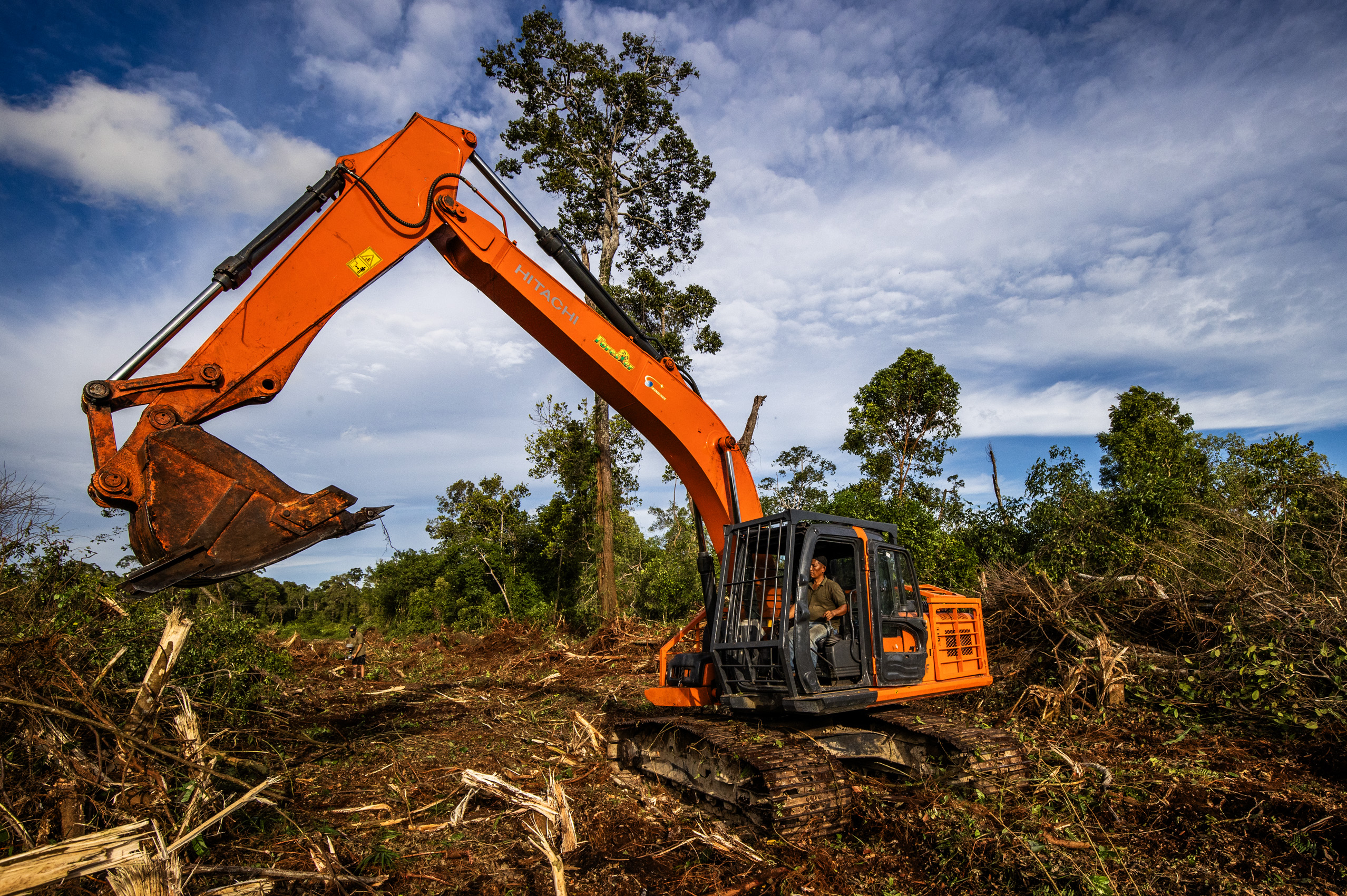 Illegal clearing in the Singkil peat swamp, Leuser Ecosystem.