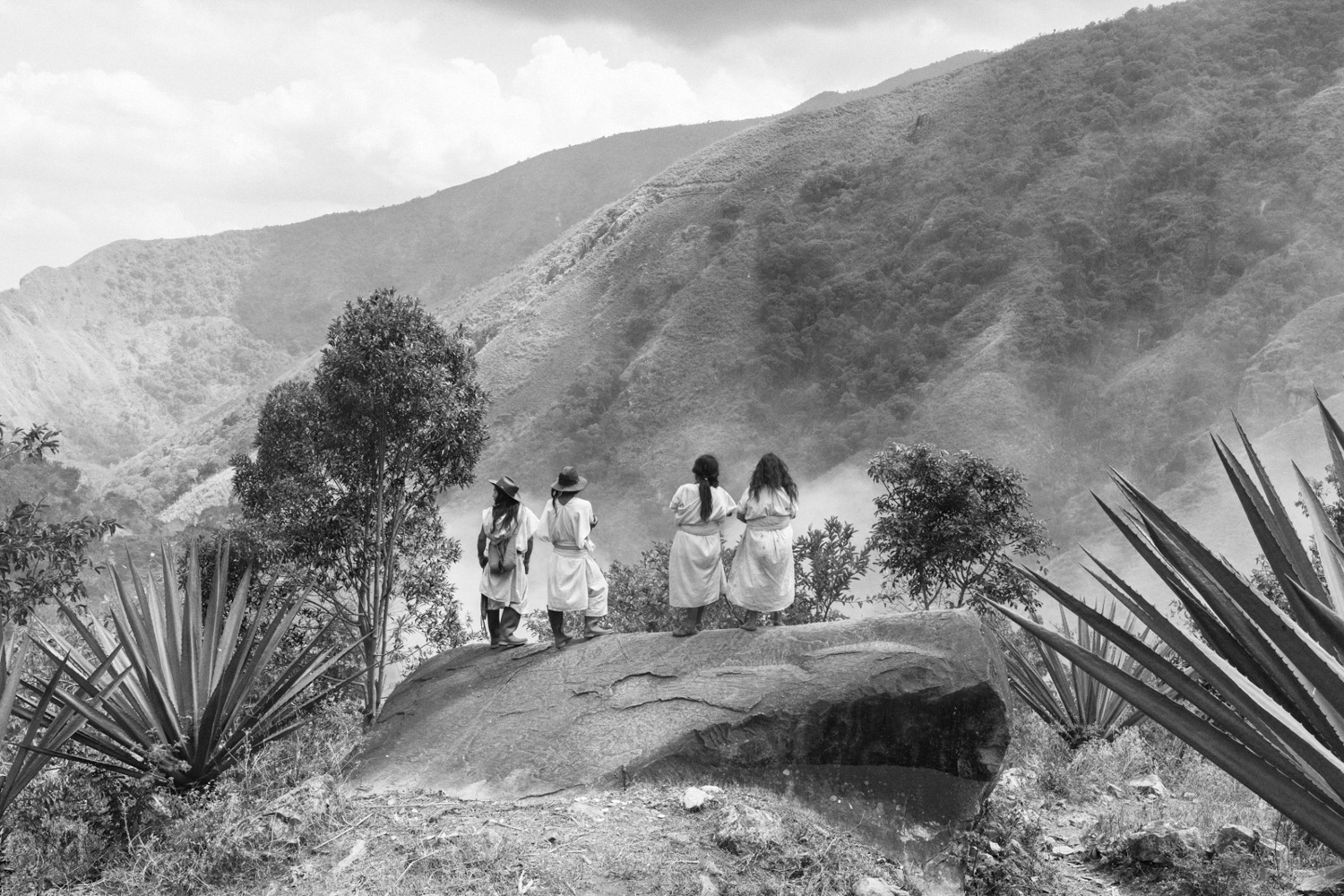 Colombia’s Indigenous guardians adapt as pressures mount…