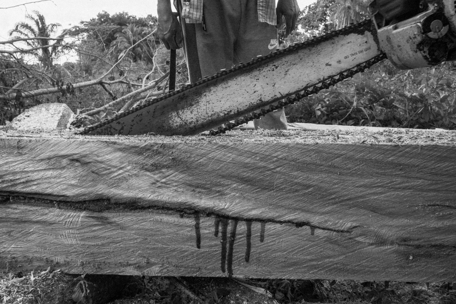Two man cutting wood with a chainsaw in Indigenous territory. Driven by the lack of agrarian reform and legal land titles, local farmers trespass into protected Indigenous territories to expand their activities. This ongoing encroachment creates intense socio-environmental friction between the two communities, both fighting for survival on the same land. 2026