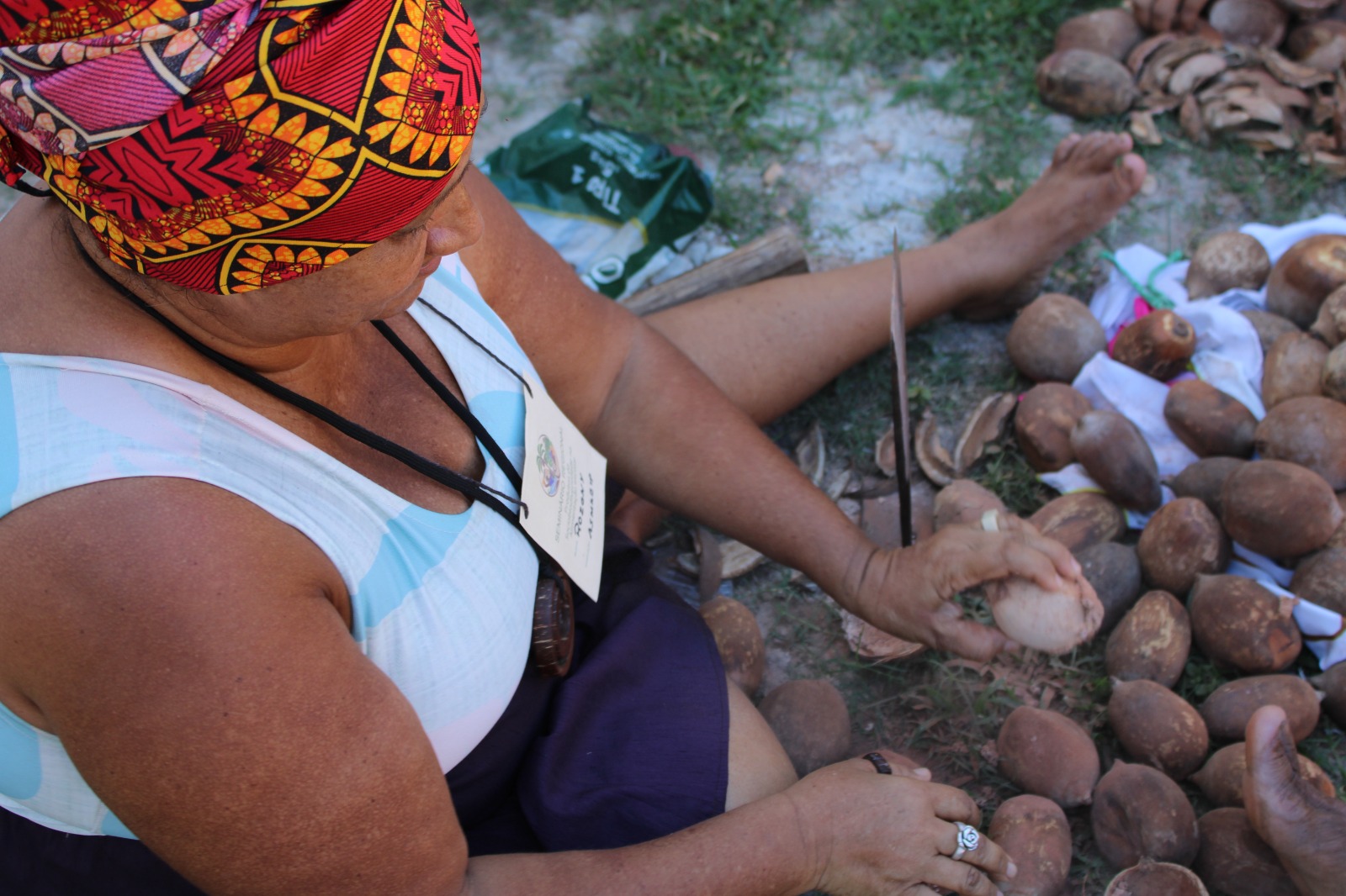 Babassu coconut breakers have struggled to maintain their livelihoods amid the advance of agribusiness in Tocantins. Image courtesy of Arquivo APA-TO/Jully Santana.