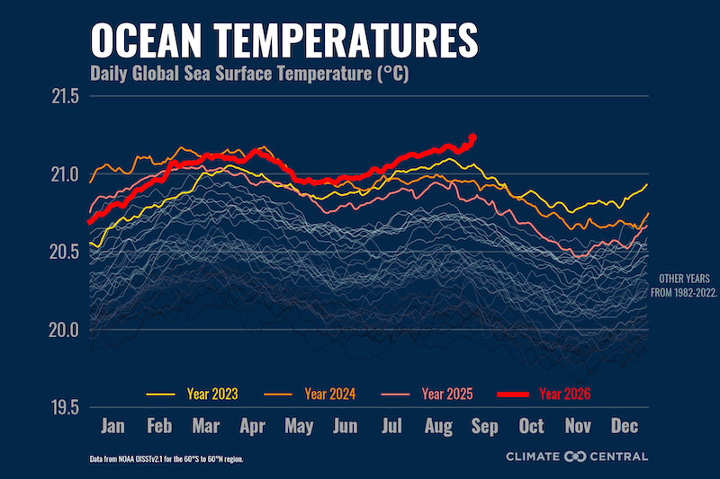 Graph of daily sea surface temperatures