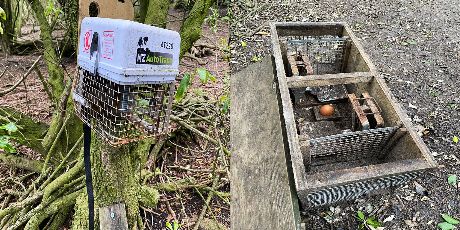 Traps used by Penguin Rescue