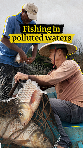 Image accompanying this story from Mongabay