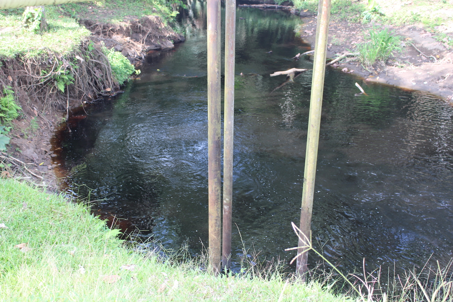 Contaminated stream near plantations that belong to the company Palmar del Río, in the parish of Nuevo Paraíso. Photo by Daniela Aguilar