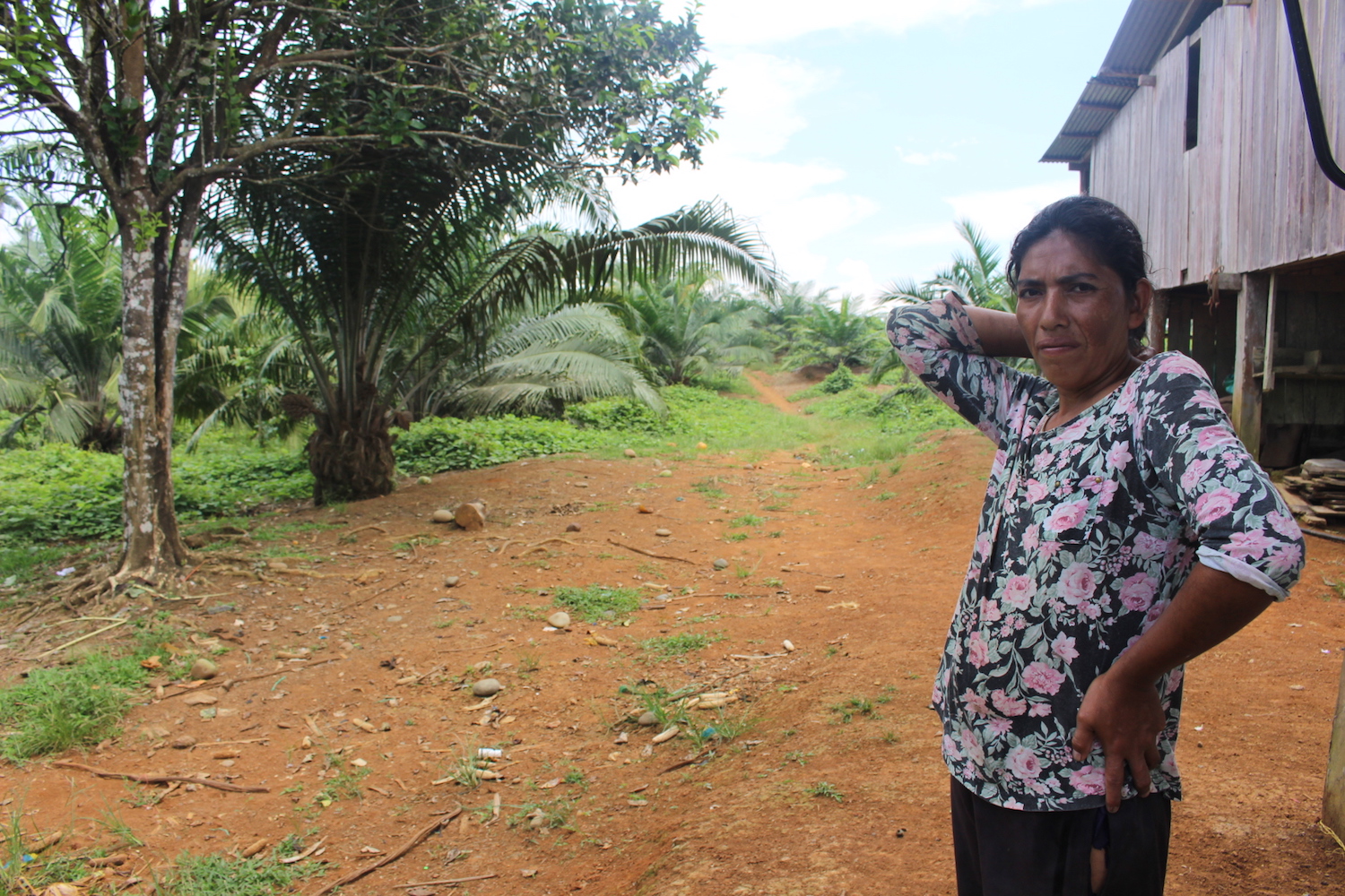 Carmen Bricio shows her oil palm crops. She began cultivating oil palm with her husband five years ago, but it has not gone well. Photo by Daniela Aguilar