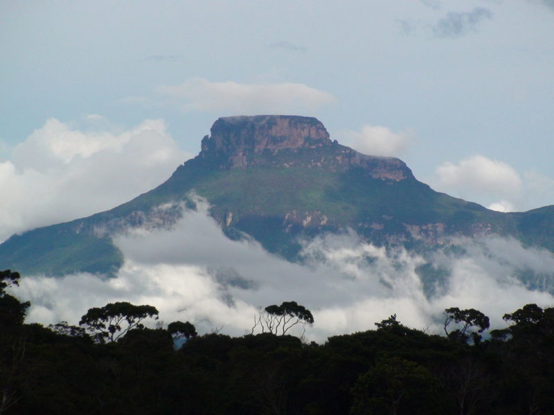 Vista de los tepuis -mesetas con paredes verticales- que se encuentran en el sudeste de Venezuela, zona donde se encuentra el Arco Minero. Foto por Antolín Martínez A. bajo la licencia Creative Commons Attribution-Share Alike 3.0