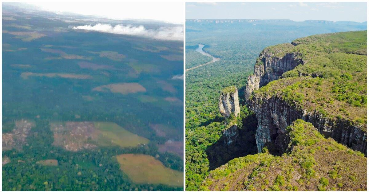 La capital del Guaviare figura entre las alertas tempranas por deforestación emitidas por el IDEAM en el 2017. Foto: Esteban Montaño.